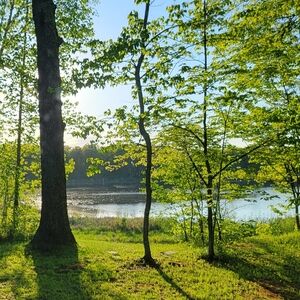 Meet your Posher, Sherry